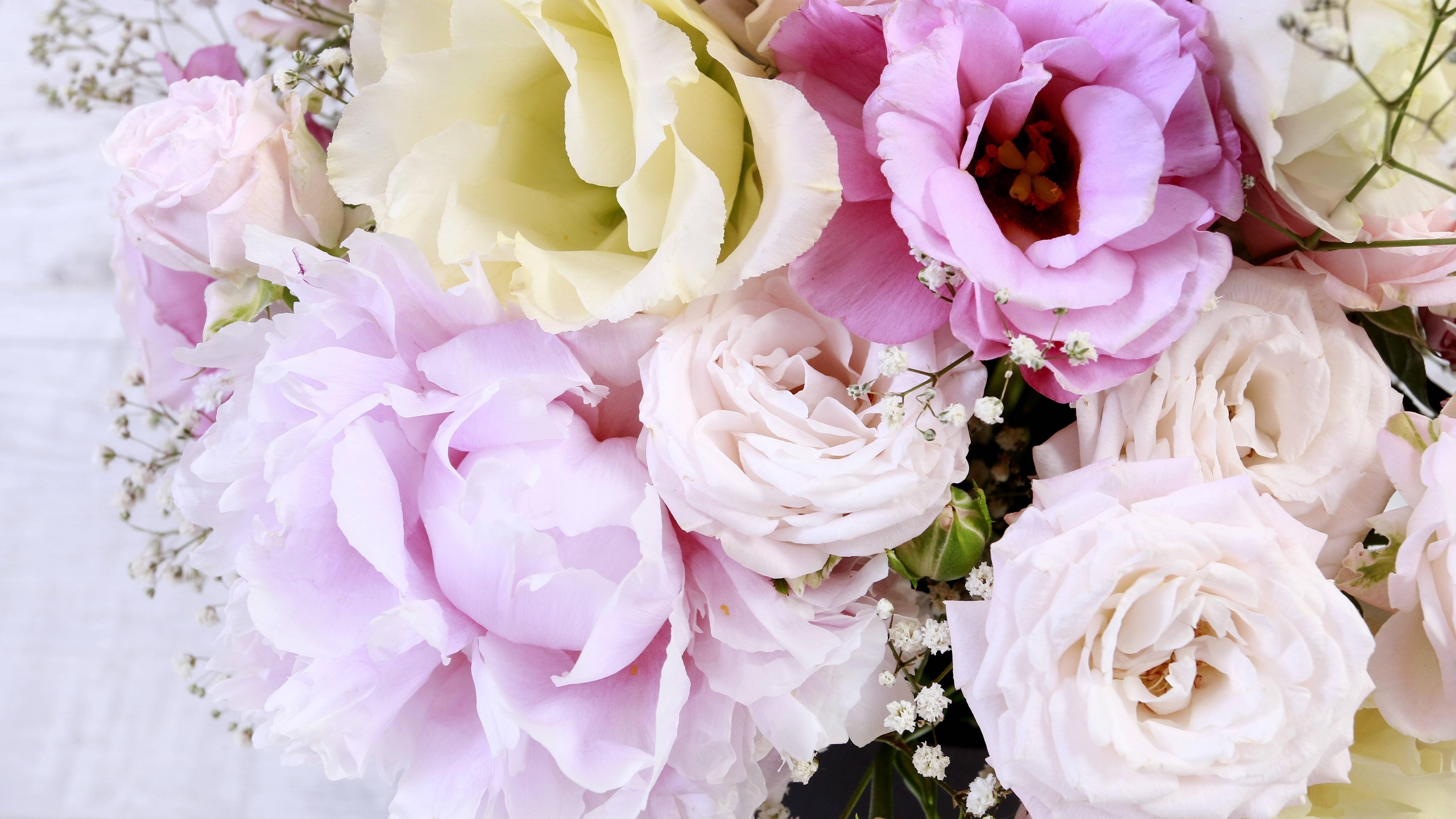 Blumenstrauß selber zusammenstellen Tipps, Tricks und Ideen BUNTE.de