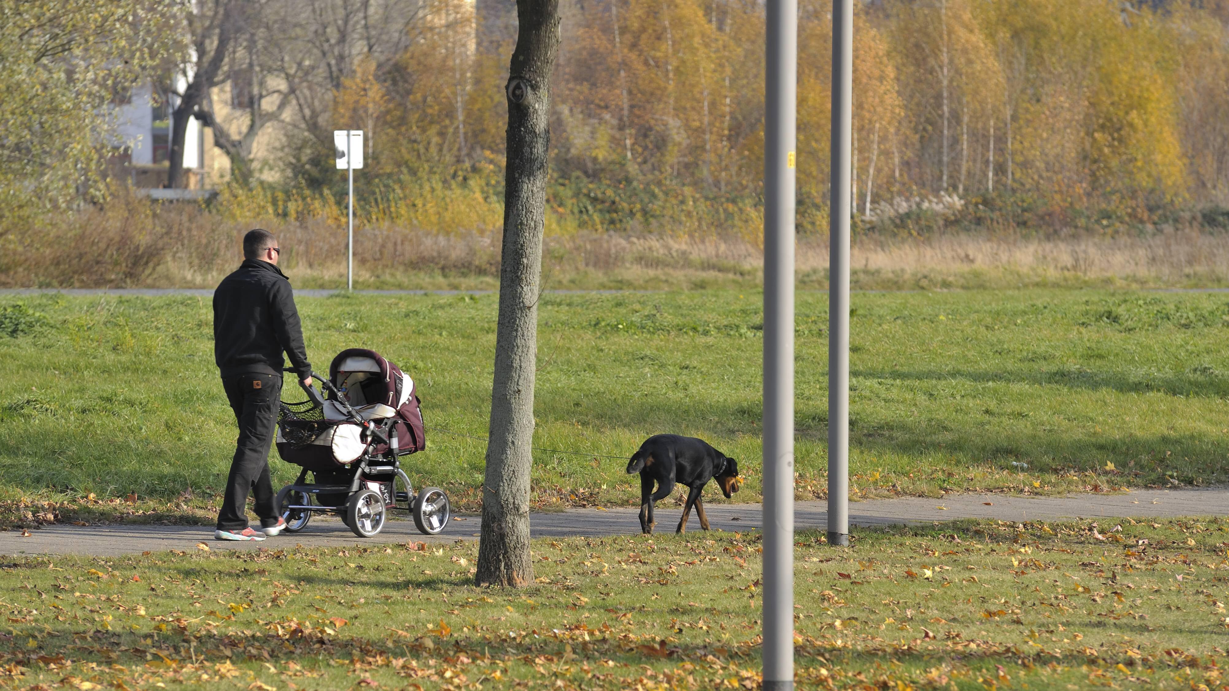Wo schlafen Babys tagsüber? Diese Möglichkeiten gibt es FOCUS.de